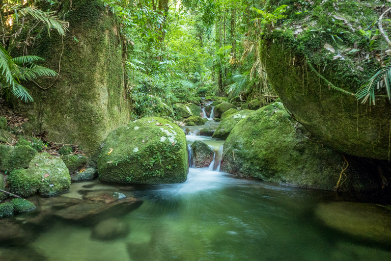 Gorges de la Mossman : excursion d&#039;une journée avec dérive de la rivièreRamassage à Port Douglas