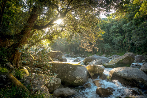 Gorges de la Mossman : excursion d&#039;une journée avec dérive de la rivièreRamassage à Port Douglas