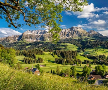 Esperienza Emmentaler: tour e laboratorio di produzione del formaggio