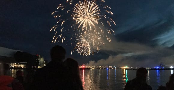 Reykjavik: New Year&#39;s Eve Fireworks Cruise