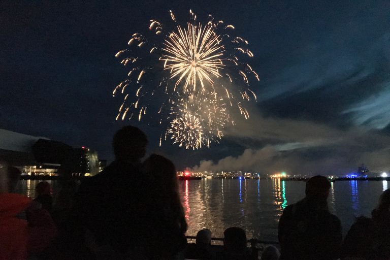 Reykjavik: Crociera con fuochi d&#039;artificio di CapodannoCrociera con fuochi d&#039;artificio di Capodanno