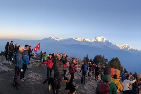Z Katmandu: 6-dniowa prywatna wędrówka na Poon Hill