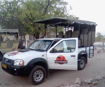Etosha National Park: Full or Half-Day Game Drive