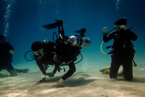 Hurghada: cours de plongée PADI Open Water de 3 jours avec prise en chargeCours de plongée PADI de 3 jours avec ramassage à Hurghada