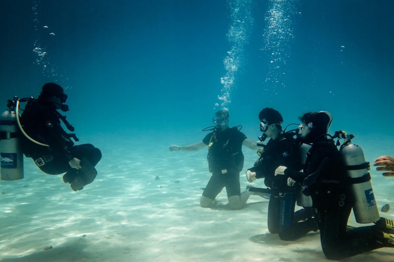 Hurghada: curso de 3 días de buceo PADI en aguas abiertas con recogidaCurso de buceo PADI de 3 días con recogida en la bahía de Soma