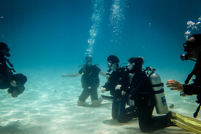 Hurghada: curso de 3 días de buceo PADI en aguas abiertas con recogidaCurso de buceo PADI de 3 días con recogida en la bahía de Soma