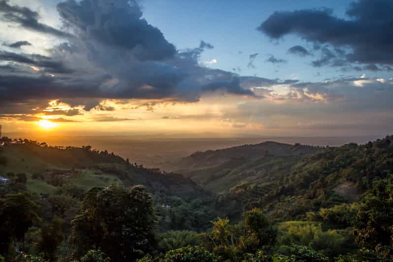 Salento: Quindío Magical Towns Private Tour with Local Lunch