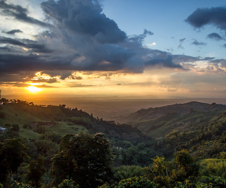 Salento: Quindío Magical Towns Private Tour with Local Lunch