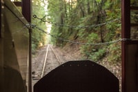Comté de Mendocino, Skunk Train Wolf Tir Turn Train Ride - Housity