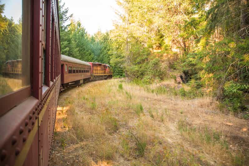 Mendocino County: Skunk Train Wolf Tree Turn Train Ride | GetYourGuide