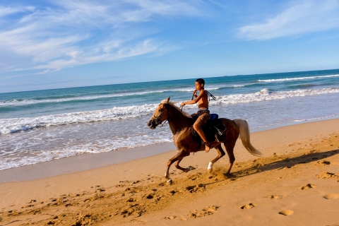 Puerto Plata: cabalgata en la playa