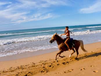 Puerto Plata: Montar a Caballo en la Playa