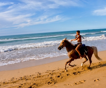 Puerto Plata: Montar a Caballo en la Playa
