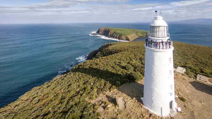 isla bruny comida de día completo faro y visita turística