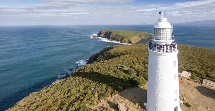 Bruny Island Full Day Food Lighthouse & Sightseeing Tour