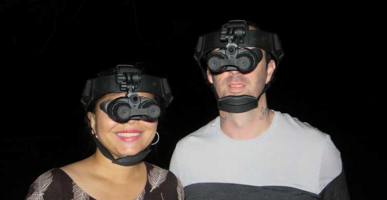 Byron Bay Nighttime Nature Walk with Night Vision Goggles GetYourGuide