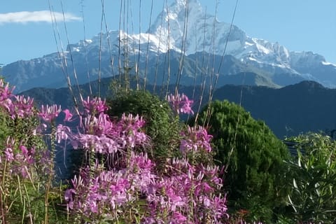 Pokhara: tour di 3 giorni