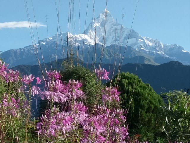 Visit Pokhara 3-Day Trek in Pokhara