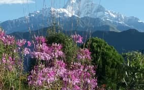 Pokhara: 3-Day Trek