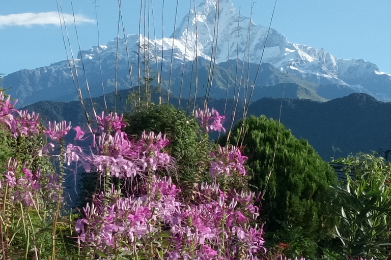 Pokhara: caminhada de 3 dias