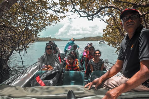 Lunuganga, Kosgoda and Balapitiya Day-Tour from Negombo