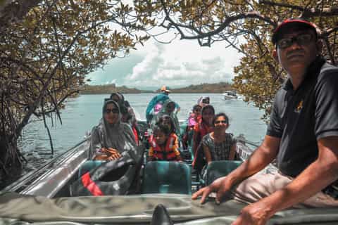 Lunuganga, Kosgoda and Balapitiya Day-Tour from Negombo
