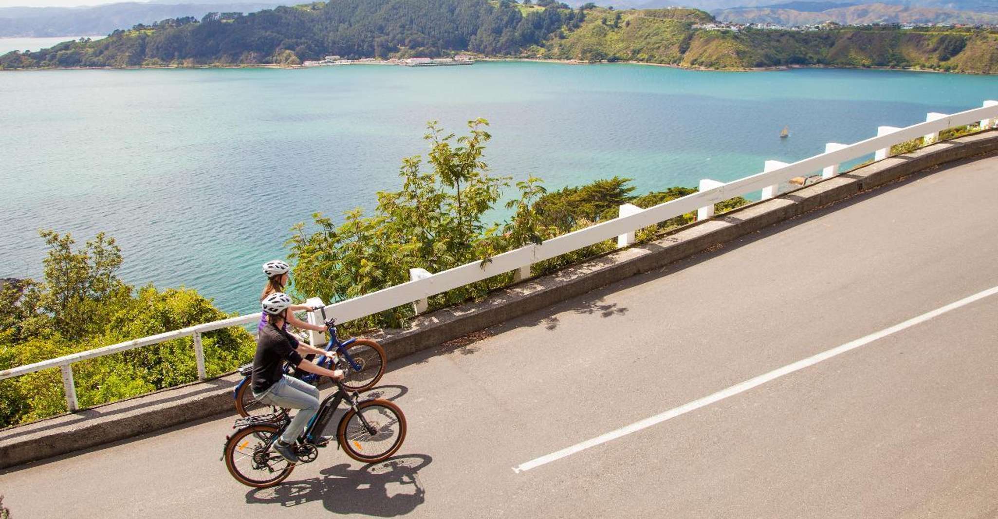 Wellington, Guided Sightseeing Tour by Electric Bike - Housity