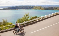 Wellington, Guided Sightseeing Tour by Electric Bike - Housity