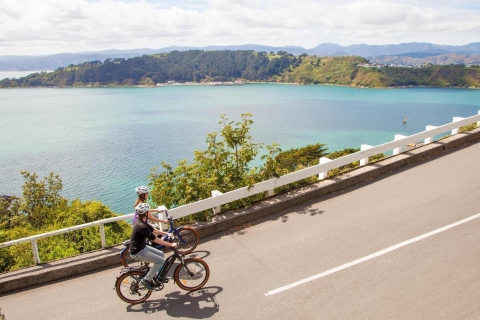 Wellington: visita turística guiada en bicicleta eléctrica