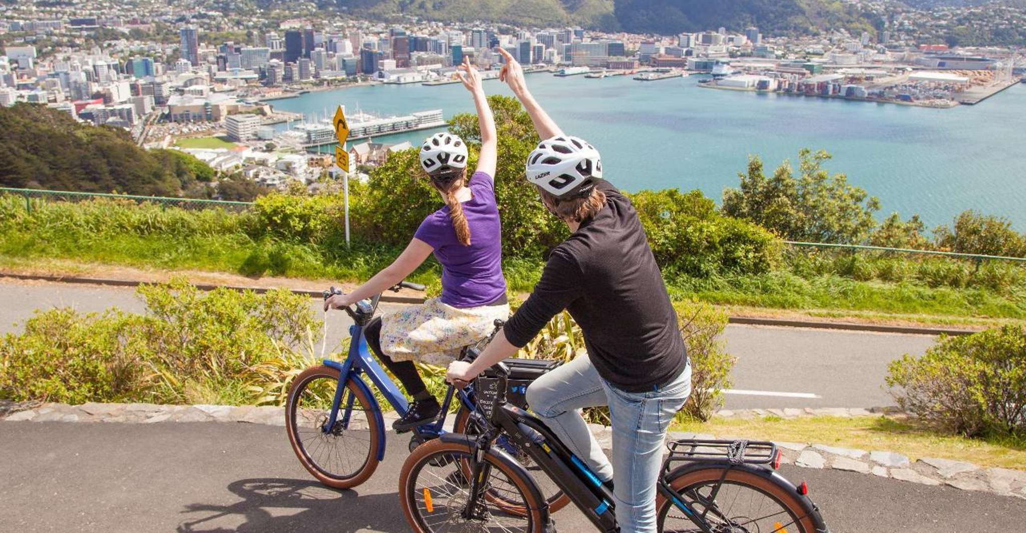 Wellington, Guided Sightseeing Tour by Electric Bike - Housity