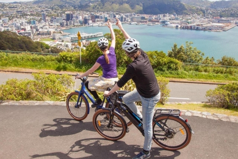 Wellington: visita turística guiada en bicicleta eléctrica