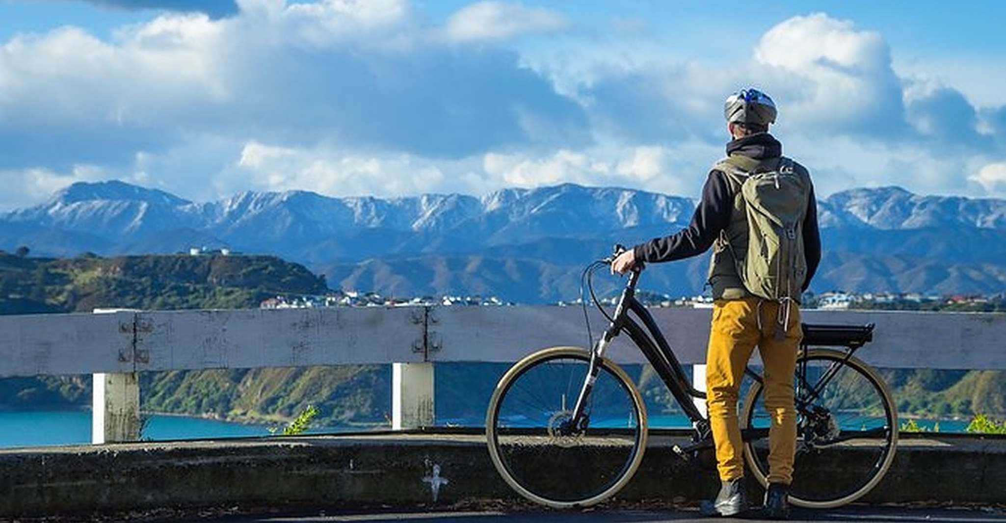 Wellington, Guided Sightseeing Tour by Electric Bike - Housity