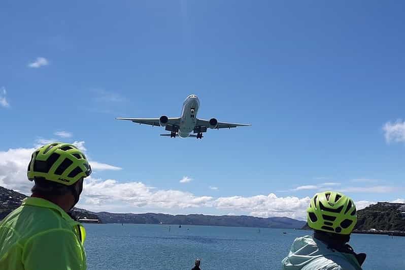 Wellington Guided Sightseeing Tour by Electric Bike GetYourGuide