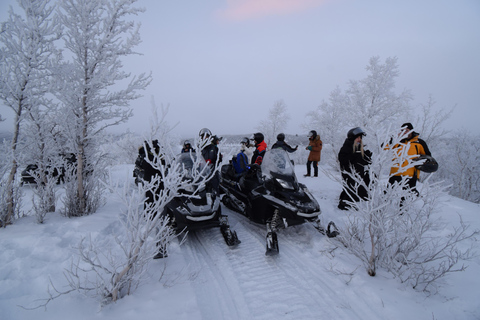 Abisko: Paseo en moto de nieveTurismo en moto de nieve - Conduce tu propia máquina