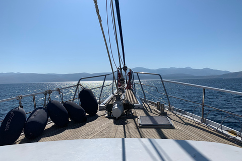 Mykonos : croisière aux îles de Délos et de Rhénanie avec repas barbecueCroisière sans transfert