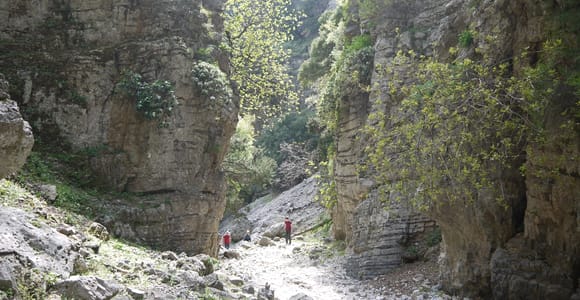 Heraklion Crete: Imbros Gorge Hike