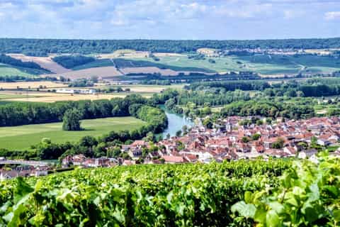 From Paris: Day Trip to Champagne with 8 Tastings & Lunch