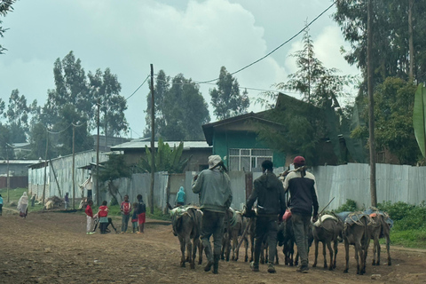Addis Ababa: Mount Entoto Hike, Injera & Hyena Experience