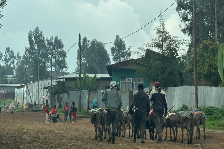 Addis Ababa: Mount Entoto Hike, Injera & Hyena Experience