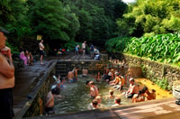 Furnas, Tea Plantations, Lake and Volcano Guided Tour - Housity