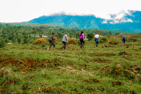 hiking tour with Gloria