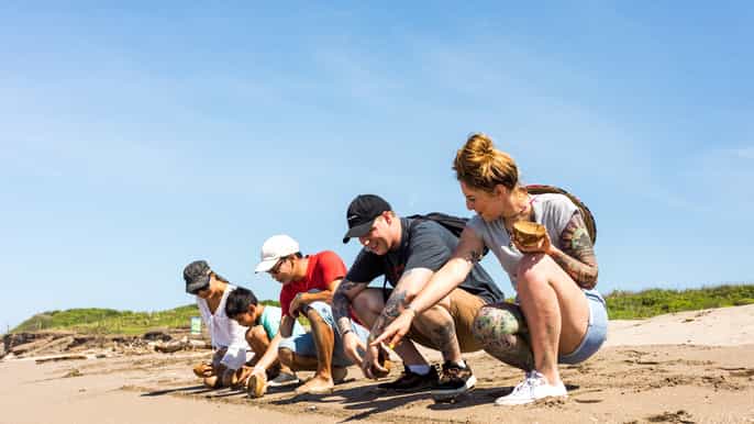 mazatlan turtle sanctuary experience