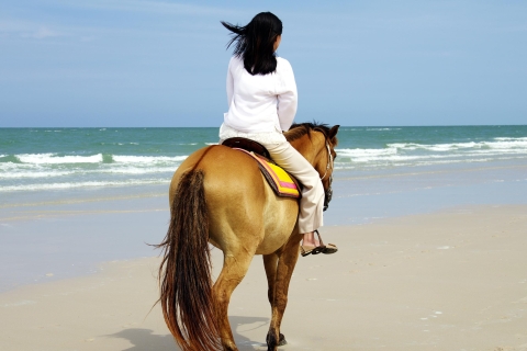 Paardrijden in Kusadasi