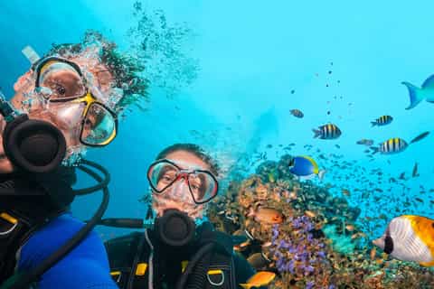 Scuba Diving from Kusadasi