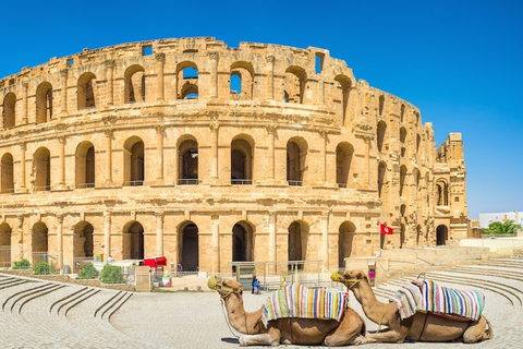 Desde Túnez: excursión de día completo a El Jem y Monastir