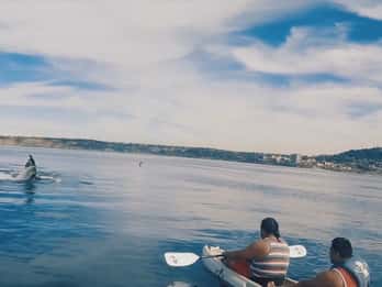 La Jolla: Kajak- und Walbeobachtungstour La Jolla: Kajak- und Walbeobachtungstour