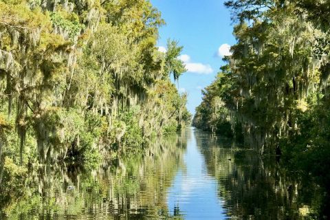 Van Lafitte: Swamp Tours ten zuiden van New Orleans per airboat