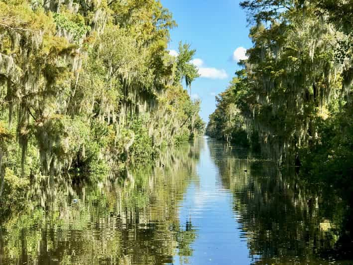 From Lafitte: Swamp Tours South of New Orleans by Airboat | GetYourGuide