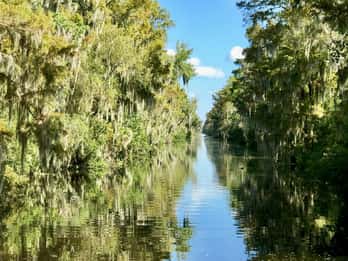 Airboat-Tour: Sumpfgebiete von New Orleans Airboat-Tour: Sumpfgebiete von New Orleans