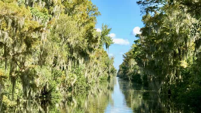 swamp tours south of new orleans by airboat